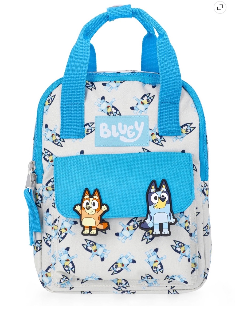 Bluey mini backpack / purse